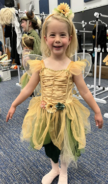 Fairy Costume
